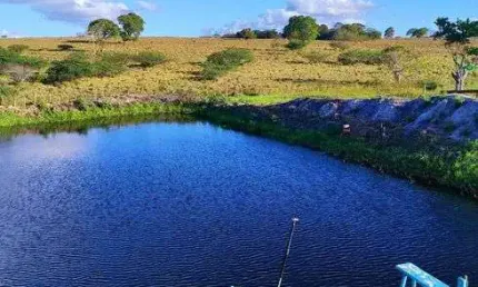 Fazenda com 2.6 hectares bem estruturada de porteira fechada