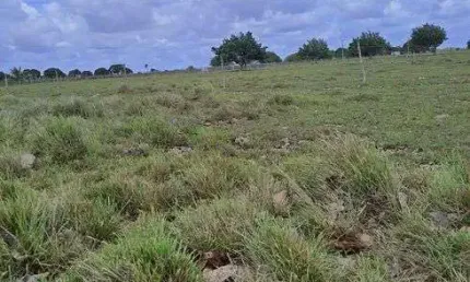 Excelente Fazenda com 27 hectares na região de Monte Alegre
