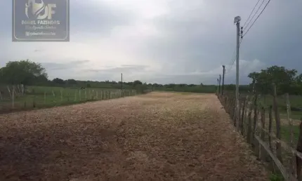 Fazenda com 27 hectares de porteira fechada em traíras