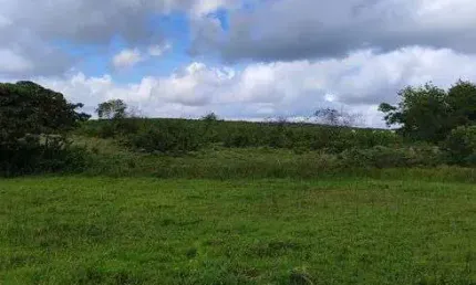 Chácara / sítio com 3 quartos à venda no Centro, Monte Alegre 