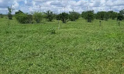 Fazenda com 45 hectares em jandaira com 2 poços tubulares 100% plana