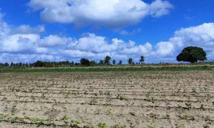 Excelente chácara com 14.400 metros quadrados bem estruturada na região de monte alegre