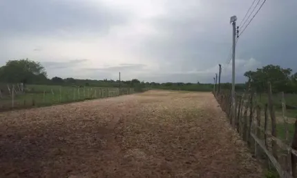 Ótima Fazenda com 27 hectares de porteira fechada em traíras