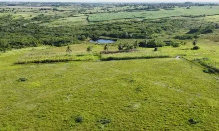 Excelente fazenda com 80.5 hectares em Monte Alegre estruturada rica em água