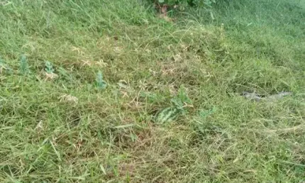 Excelente Granja com 7.5 hectares na região de Ceará Mirim