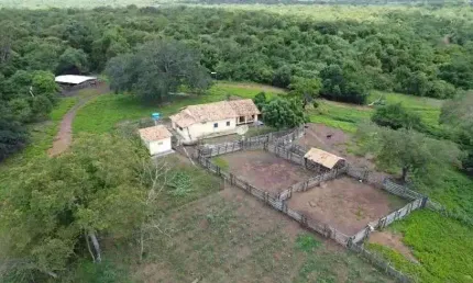 fazenda com 5 mil hectares no estado do Piauí são Miguel do tapuio
