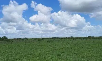 Chácara / sítio com 3 quartos à venda no Centro, Jandaíra 