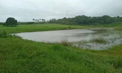 Excelente granja com 11 hectares na região de monte alegre estruturada