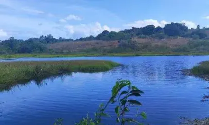 Chácara / sítio com 4 quartos à venda no Centro, Macaíba 