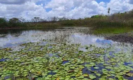 Fazenda/Sítio/Chácara para venda com 270.000 quadrados com 5 quartos
