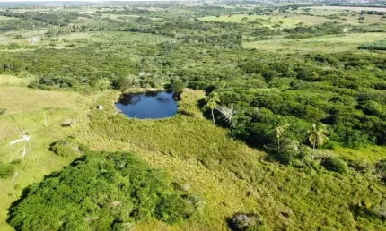 fazenda com 80.5 hectares no vale de Monte Alegre com uma excelente localização pronta para criação