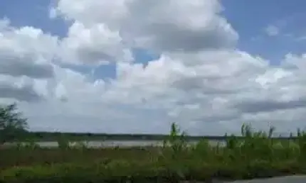 Linda Fazenda com 110 hectares nas Marias próximo a cajazeiras