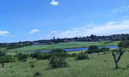 fazenda com 107 hectares em Monte Alegre com grande potencial