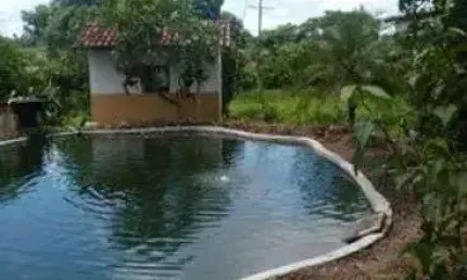 Excelente Fazenda com 34 hectares em Mendes município de São José de Mipibu