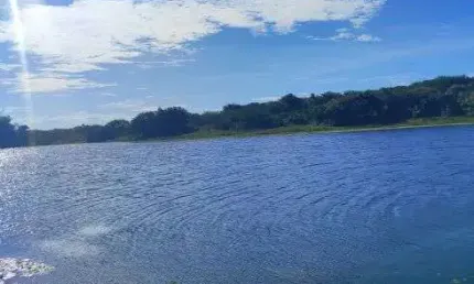 fazenda com 72 hectares de porteira fechada em brejinho mais informações chama no what