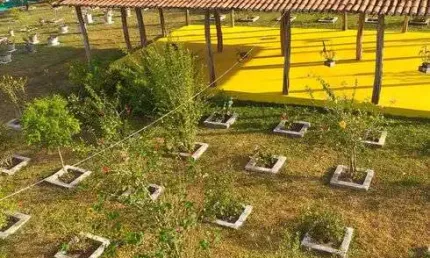 Propriedade com 1.3 hectares em monte alegre bastante estruturada