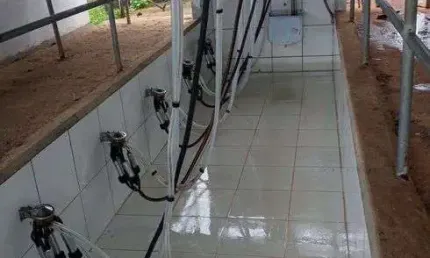 Chácara / sítio com 3 quartos à venda no Centro, Monte Alegre 