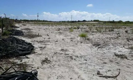 Ótima Fazenda com 70 hectares 3 km de maxanranguape rica em água