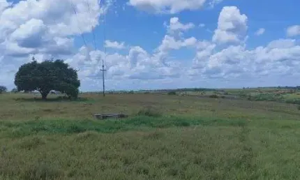 Chácara / sítio com 3 quartos à venda no Centro, Monte Alegre 