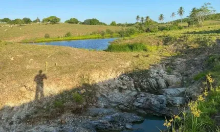 Fazenda de porteira fechada 20 hectares na região de monte alegre com estrutura de porteira fechada