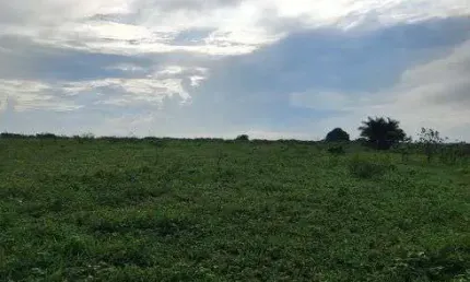 Fazenda/Sítio/Chácara com 200 hectares na região de Boa Saúde com açudes e lagoas 70% desmatada etc