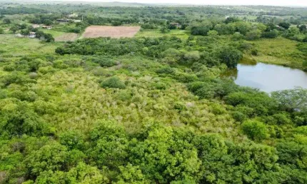 fazenda com 300 hectares na região de Ielmo marinho cortada pelo rio protegi