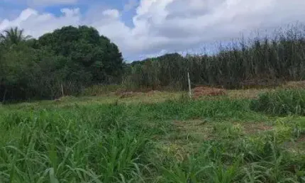 Granja com 12 hectares na região de são jose de mipibu