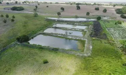 Chácara / sítio com 3 quartos à venda no Centro, Monte Alegre 