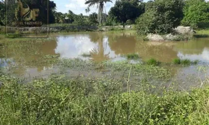 Linda Fazenda com 15 hectares estruturada de tudo na região de vera cruz