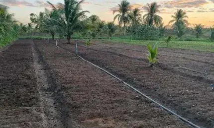 Fazenda/Sítio/Chácara com 7.3 hectares próximo a monte alegre bem estruturada excelente localização