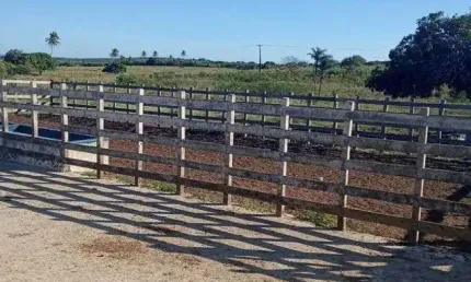 Chácara / sítio com 4 quartos à venda no Centro, Monte Alegre 