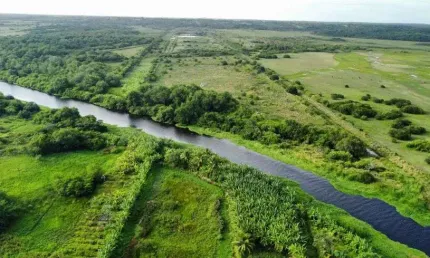 fazenda com 49.7 hectares excelente para carcinicultura com 28 hectares de lâmina d'água