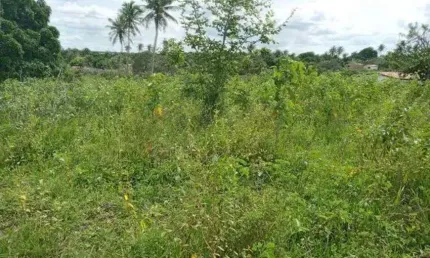 Fazenda com 200 hectares na região de São Gonçalo do Amarante