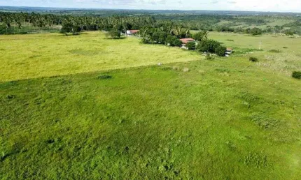 Fazenda/sítio/chácara para venda tem 80.5 hectares direto com o proprietário estudamos proposta