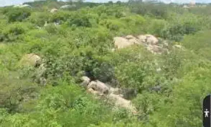 Fazenda com 36 hectares com licença para exploração de pedreira em angicos na br304