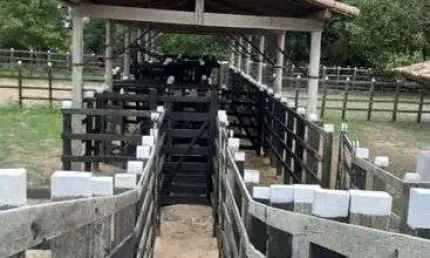 Fazenda/Sítio/Chácara 498 hectares com uma estrutura esuberante riquíssima em tudo pasto água etc.