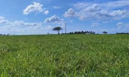Fazenda com 230 hectares no vale de monte alegre riquíssima em água e pasto