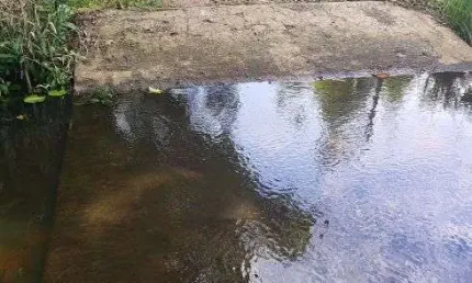 fazenda com 125 hectares plana e com 80% desmatada top para condomínio fechado