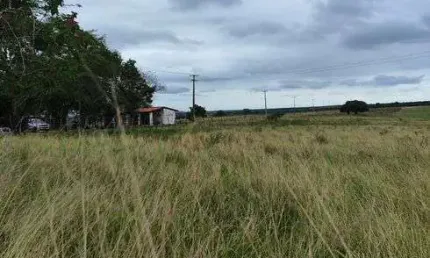 Fazenda com 95 hectares com 4 quartos 8 baías cural casa de caseiro 2 poço tubulares etc