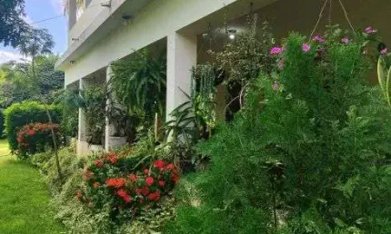 granja com 12.6 hectares próximo a lagoa de Bonfim com uma localização perfeita privilegiada