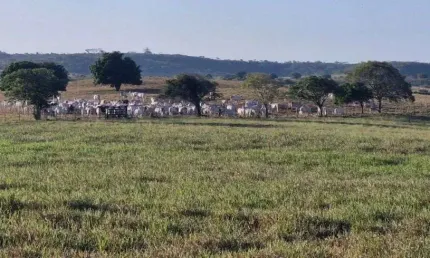 Fazenda com 184 hectares na região de mari-pb estrutura em tudo um luxo de propriedade pronta