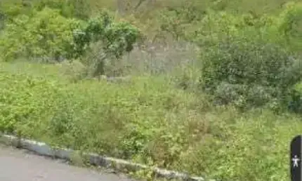 Excelente fazenda com 36 hectares com licença para exploração de pedreira