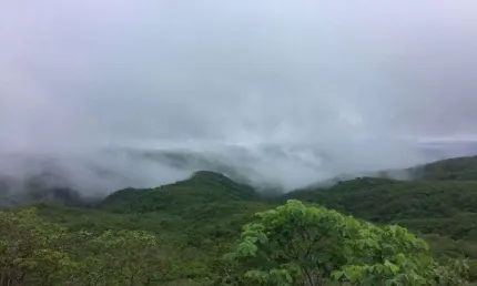 Fazenda com 611 hectares em cerro corá praticamente dentro da cidade com grande potencial