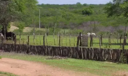 Chácara / sítio com 3 quartos à venda no Centro, São Pedro 