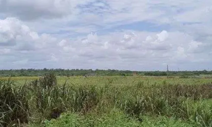 Ótima granja com 16 hectares na região de vera cruz