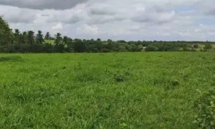 fazenda com 1.000 hectares de porteira fechada na região de vera cruz