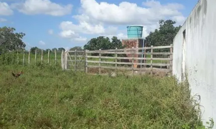 Linda Fazenda com 95 hectares na região de vera cruz
