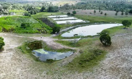 fazenda com 40 hectares em Monte Alegre com grande potencial