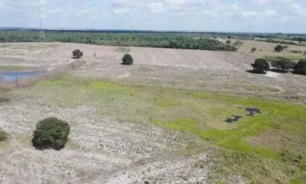 fazenda com 300 hectares entre Macaiba e Parnarmirim