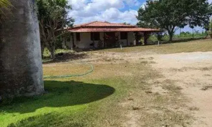 Granja com 14 hectares em Punau estruturada rio perene